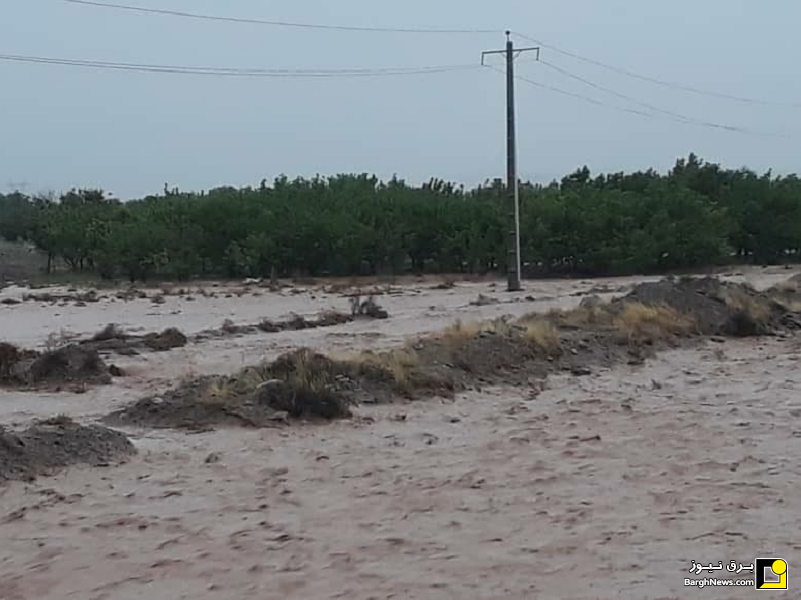 خسارت باران به تاسیسات برقی در روستاهای میامی + عکس