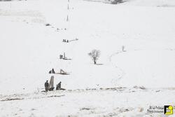 شبکه برق اغلب روستا‌های استان کردستان پایدار است