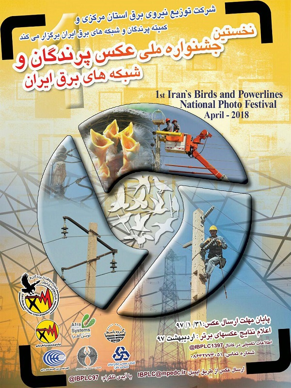 برگزاری جشنواره عکس پرندگان و شبکه های برق ایران