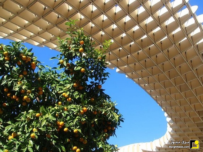 تولید برق از پرتقال های شهر سویل اسپانیا!