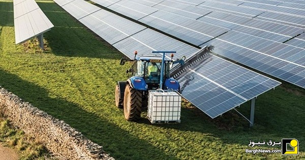 آیا می‌توان زیر پنل‌های خورشیدی کشاورزی کرد؟