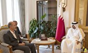 دیدار وزیر نیرو با نخست وزیر قطر