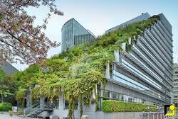 بام‌های سبز راهکاری برای کاهش مصرف انرژی