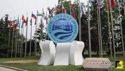 سازمان شانگهای فرصتی بی‌نظیر برای توسعه انرژی ایران