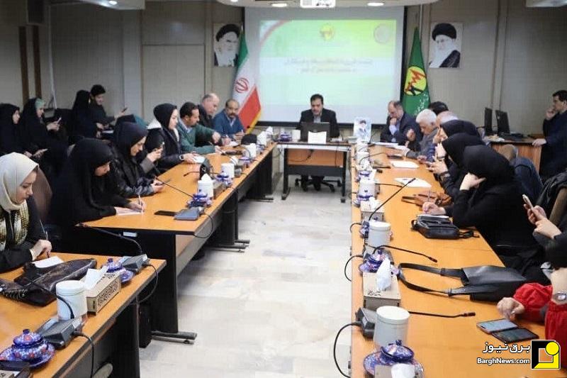 بهره‌برداری از ۱۱۳۴ طرح صنعت برق در توزیع برق استان همدان