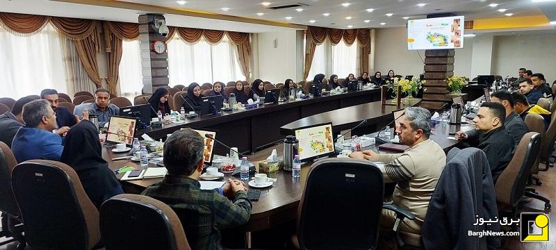 نشست آشنایی با طرح ملی سبا در توزیع برق فارس برگزار شد
