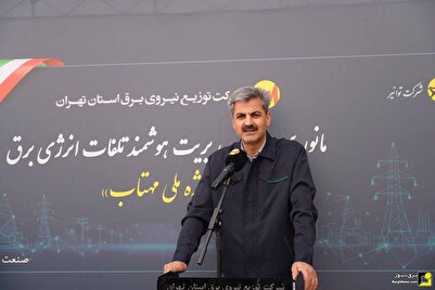 مقابله قاطع با برق‌های غیرمجاز استان تهران در دستور کار